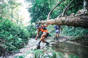 BIB: 
                            <button type="button" onclick="openModal(25431676)" class="btn btn-primary btn-sm float-right btn-popup" data-toggle="modal" data-target=".modal-high-quality">
                        <i class="fas fa-shopping-cart"></i> Add to Cart
                    </button>
                                            <button type="button" onclick="isThisMe(25431676, true)" class="btn btn-success btn-sm float-right btn-popup btn-isme hidden" data-toggle="tooltip" data-placement="bottom" title="นี่คือรูปของคุณใช่ไหม คลิกที่นี่เพื่อเอาเข้าอัลบั้ม">
                        <i class="fas fa-plus"></i> Add to album
                    </button>
                    <button type="button" onclick="isThisMe(25431676, false)" class="btn btn-warning btn-sm float-right btn-popup btn-isnotme hidden">
                        <i class="fas fa-ban"></i> Remove from album
                    </button>